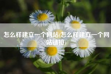 怎么样建立一个网站(怎么样建立一个网站链接)