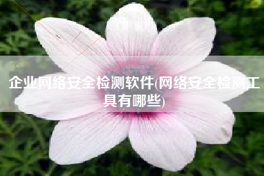 企业网络安全检测软件(网络安全检测工具有哪些)