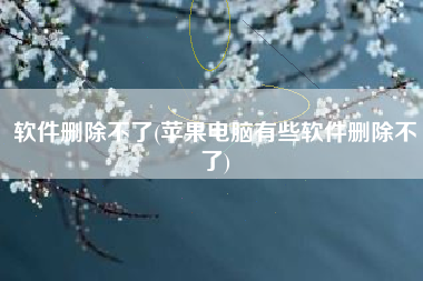 软件删除不了(苹果电脑有些软件删除不了)