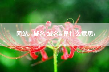网站.cc域名(域名cc是什么意思)