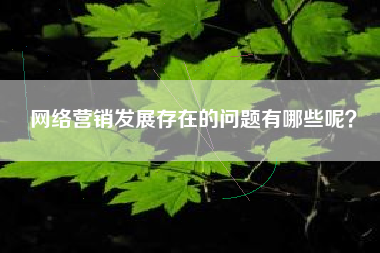网络营销发展存在的问题有哪些呢？
