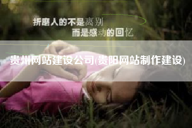 贵州网站建设公司(贵阳网站制作建设)
