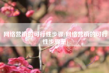 网络营销的可行性步骤(网络营销的可行性步骤是)