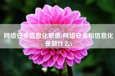 网络安全信息化职责(网络安全和信息化是做什么)