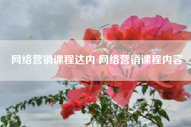 网络营销课程达内 网络营销课程内容