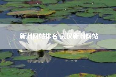 新洲网站排名 武汉新洲网站