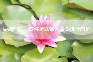 logo软件(logo软件可以输入命令执行的是)