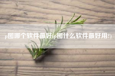 p图哪个软件最好(p图什么软件最好用?)