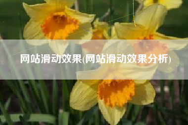 网站滑动效果(网站滑动效果分析)