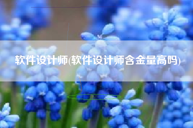 软件设计师(软件设计师含金量高吗)