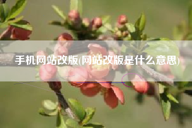 手机网站改版(网站改版是什么意思)