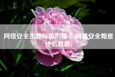 网络安全主题标语的帽子(网络安全帽是什么意思)