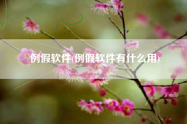 例假软件(例假软件有什么用)