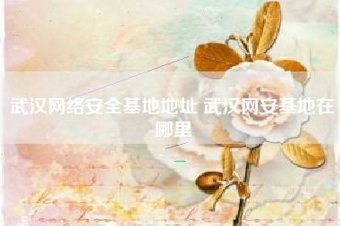 武汉网络安全基地地址 武汉网安基地在哪里