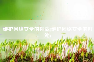 维护网络安全的挑战(维护网络安全的好处)