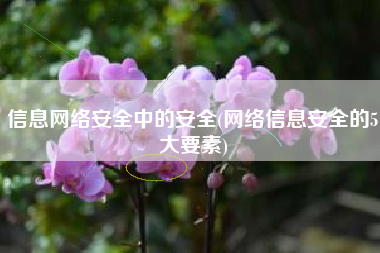 信息网络安全中的安全(网络信息安全的5大要素)