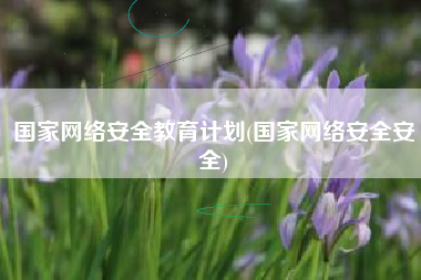 国家网络安全教育计划(国家网络安全安全)