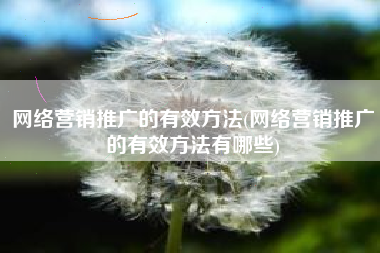 网络营销推广的有效方法(网络营销推广的有效方法有哪些)