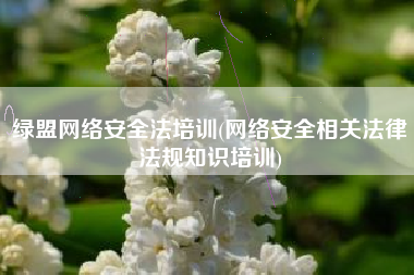 绿盟网络安全法培训(网络安全相关法律法规知识培训)