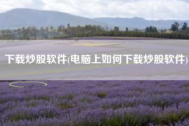 下载炒股软件(电脑上如何下载炒股软件)