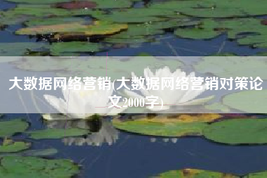 大数据网络营销(大数据网络营销对策论文2000字)