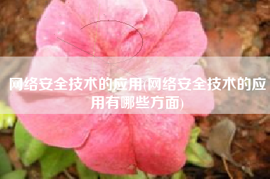 网络安全技术的应用(网络安全技术的应用有哪些方面)
