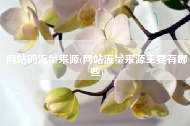 网站的流量来源(网站流量来源主要有哪些)