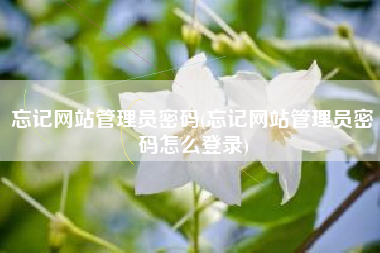 忘记网站管理员密码(忘记网站管理员密码怎么登录)