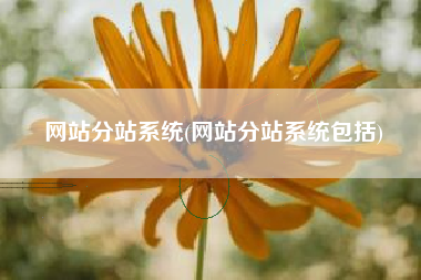 网站分站系统(网站分站系统包括)