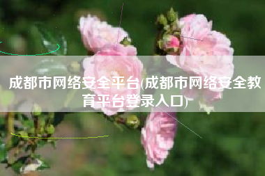 成都市网络安全平台(成都市网络安全教育平台登录入口)