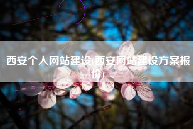 西安个人网站建设(西安网站建设方案报价)