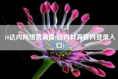 16达内网络营销盘(达内教育官网登录入口)