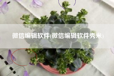 微信编辑软件(微信编辑软件秀米)