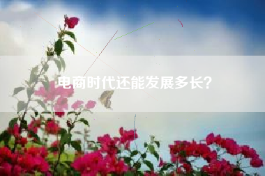 电商时代还能发展多长？