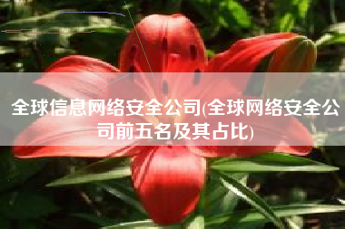 全球信息网络安全公司(全球网络安全公司前五名及其占比)