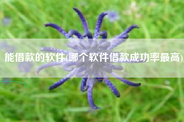 能借款的软件(哪个软件借款成功率最高)