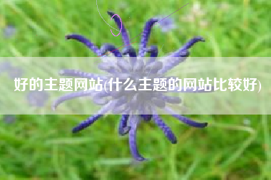 好的主题网站(什么主题的网站比较好)