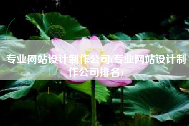 专业网站设计制作公司(专业网站设计制作公司排名)