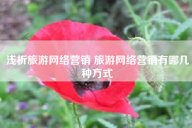 浅析旅游网络营销 旅游网络营销有哪几种方式