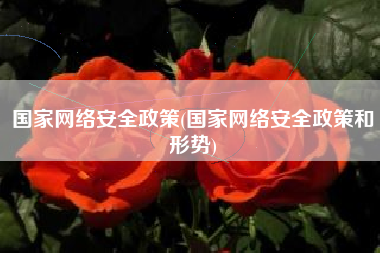 国家网络安全政策(国家网络安全政策和形势)