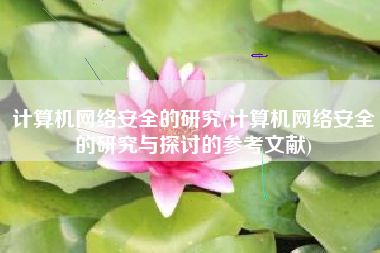 计算机网络安全的研究(计算机网络安全的研究与探讨的参考文献)