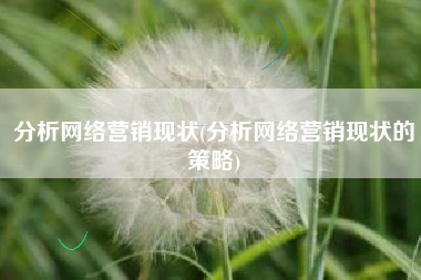 分析网络营销现状(分析网络营销现状的策略)