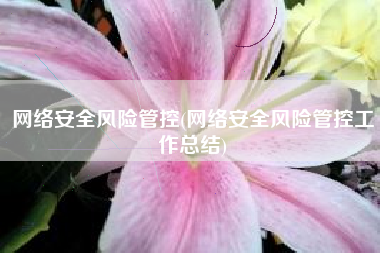 网络安全风险管控(网络安全风险管控工作总结)
