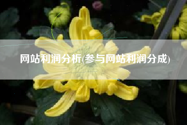 网站利润分析(参与网站利润分成)