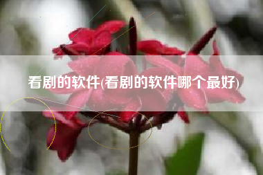 看剧的软件(看剧的软件哪个最好)