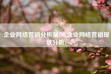 企业网络营销分析案例(企业网络营销现状分析)