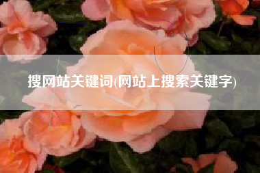 搜网站关键词(网站上搜索关键字)