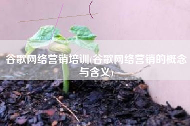 谷歌网络营销培训(谷歌网络营销的概念与含义)