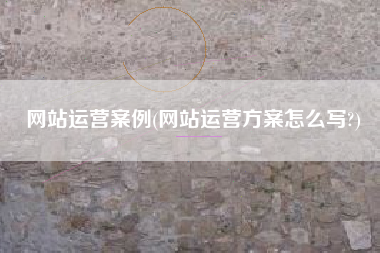 网站运营案例(网站运营方案怎么写?)