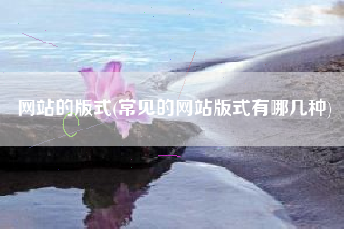 网站的版式(常见的网站版式有哪几种)